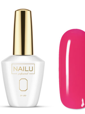 NAILU Geliniai lakai - 301 GIRLS DREAMS