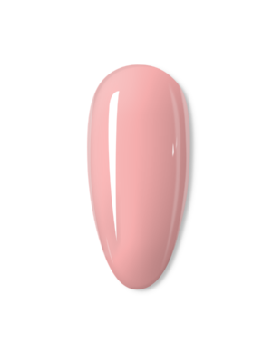 NAILU Spalvotos rubber bazės - 071 ALLURE