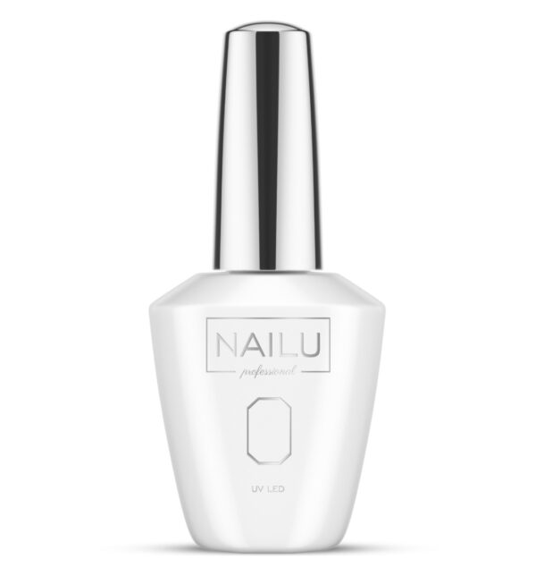 NAILU Hibridinė bazė